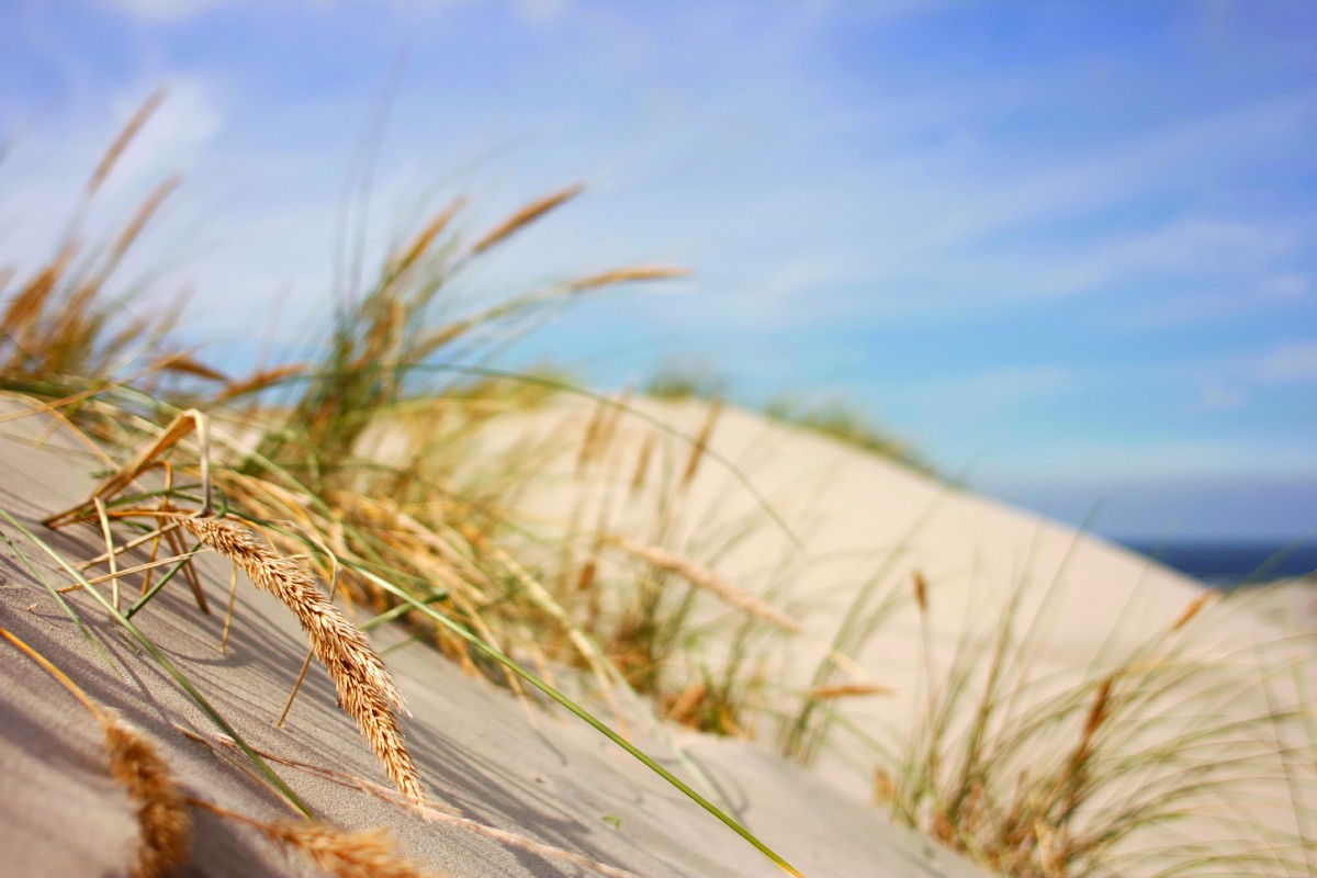 sand dunes
